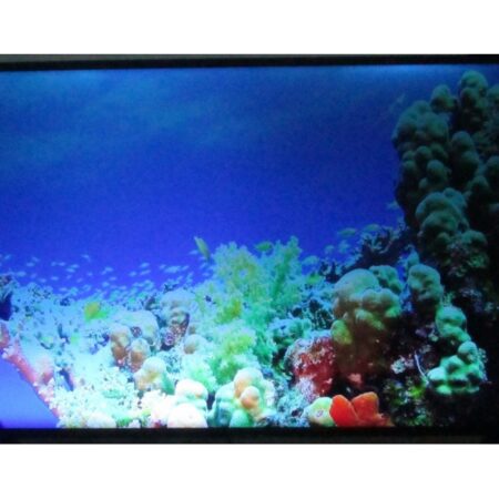 CY-NN043HGAV6H CY-NN043HGAV6V 43L6AUNNN 4k display panel ecran Samsung UE43NU7199U UE43NU7192U UE43nu71 22 20 90 92 99 05k
