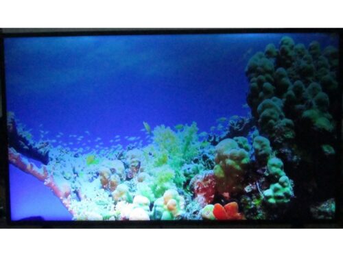 CY-NN043HGAV6H CY-NN043HGAV6V 43L6AUNNN 4k display panel ecran Samsung UE43NU7199U UE43NU7192U UE43nu71 22 20 90 92 99 05k